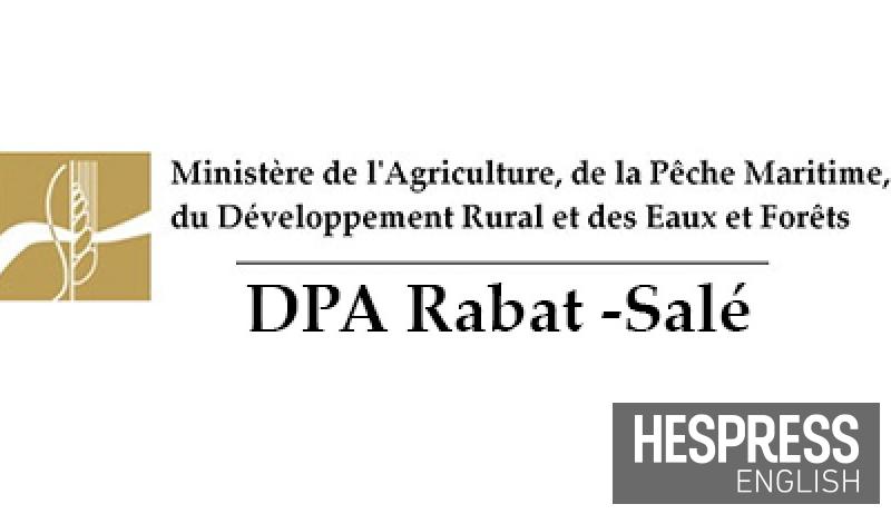 Maple Farm Rabat Rabat-Sale Provincial Agriculture Department: Recent Rainfall ...