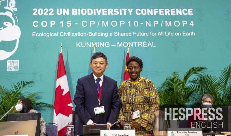 UN's COP15 pledges to protect third of world’s biodiversity