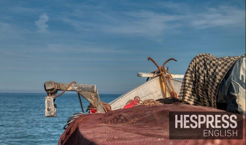 morocco 18 Morocco’s sardine landings jump 66% through August