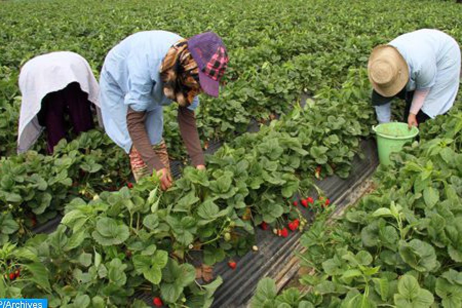 Benmoussa: Inclusion of rural women in Morocco likely to generate MAD 25 bln gain