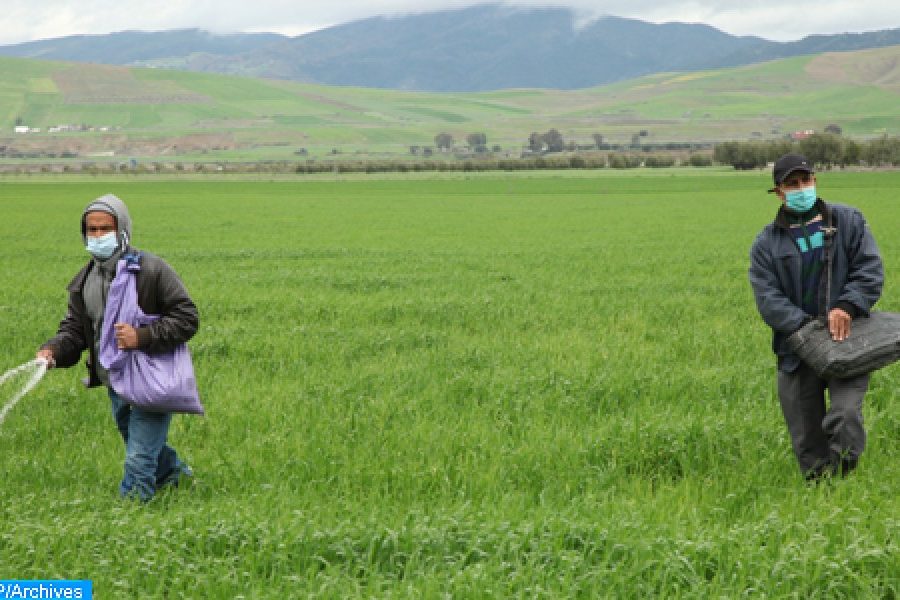 Health insurance for farmers, craftsmen, and taxi drivers to become compulsory in Morocco