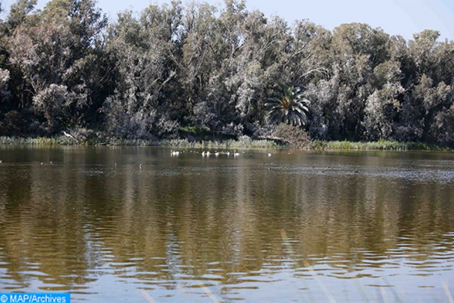 Over 1 Mln species face threat of extinction (IUCN)
