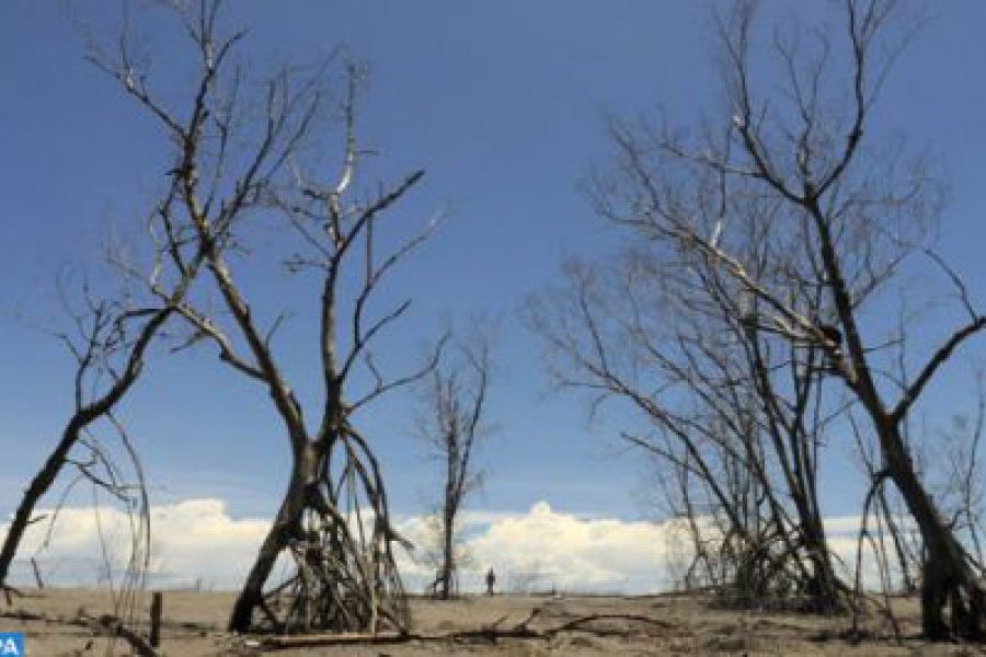 COP26 summit kicks off today, as global action becomes more pressing