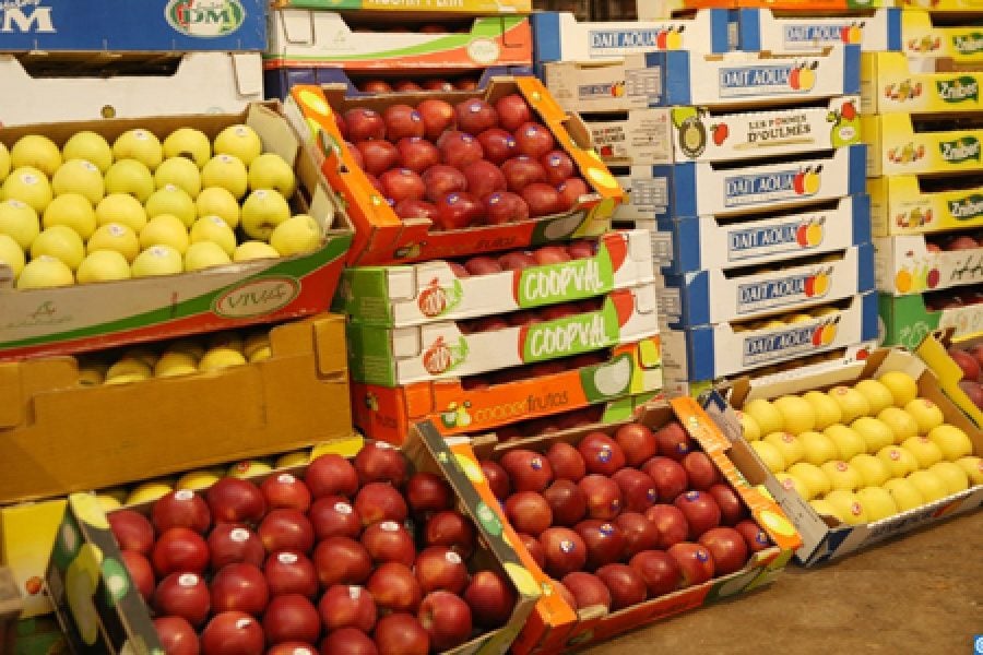 Morocco’s fruit and vegetable exports rebound sharply in 2024-2025 season