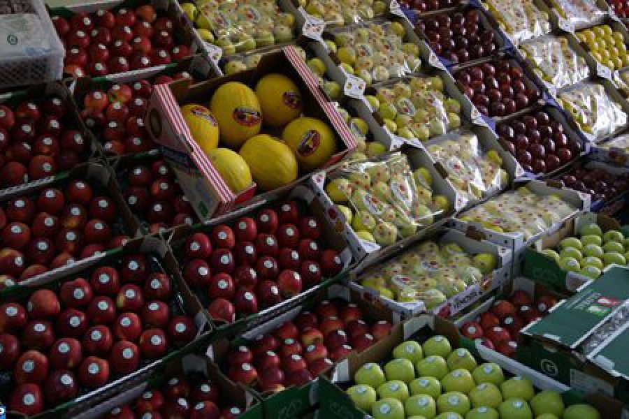Report: Morocco expands fruit exports and cements its place among Africa’s top producers