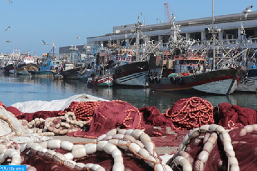 Production of Morocco's Coastal Fisheries Down 7% in 2020