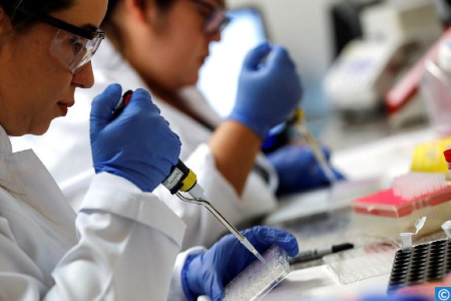 Morocco ranks 86th in global R&D, shows moderate knowledge performance
