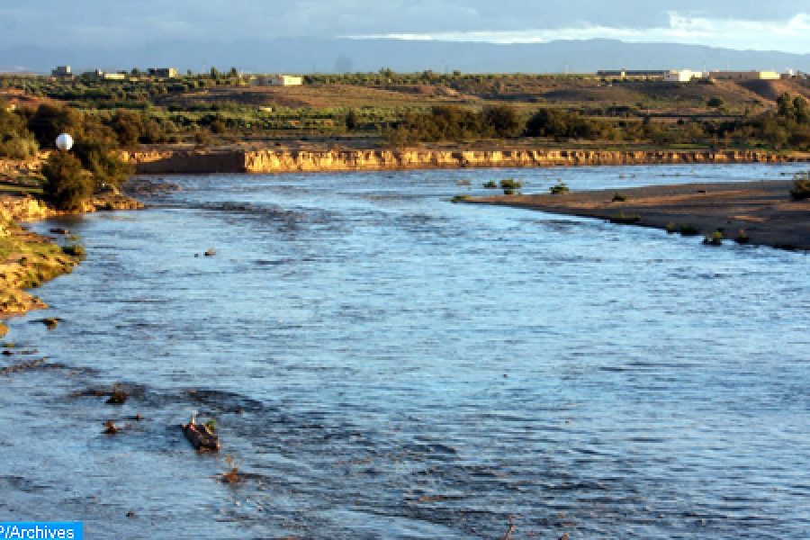 Morocco can serve as model for water management and sustainable irrigation (ICID Head)