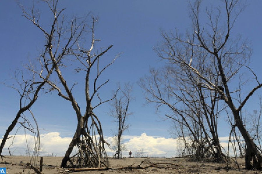 UNEP Executive Director praises Morocco's leadership in addressing environmental challenges