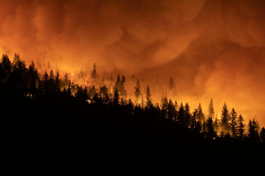 State of California battles against its 2nd largest fire