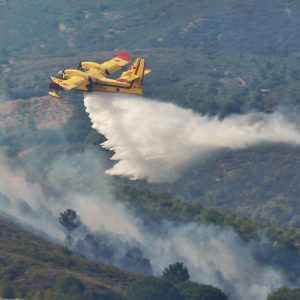 Chefchaouen forest fire under control