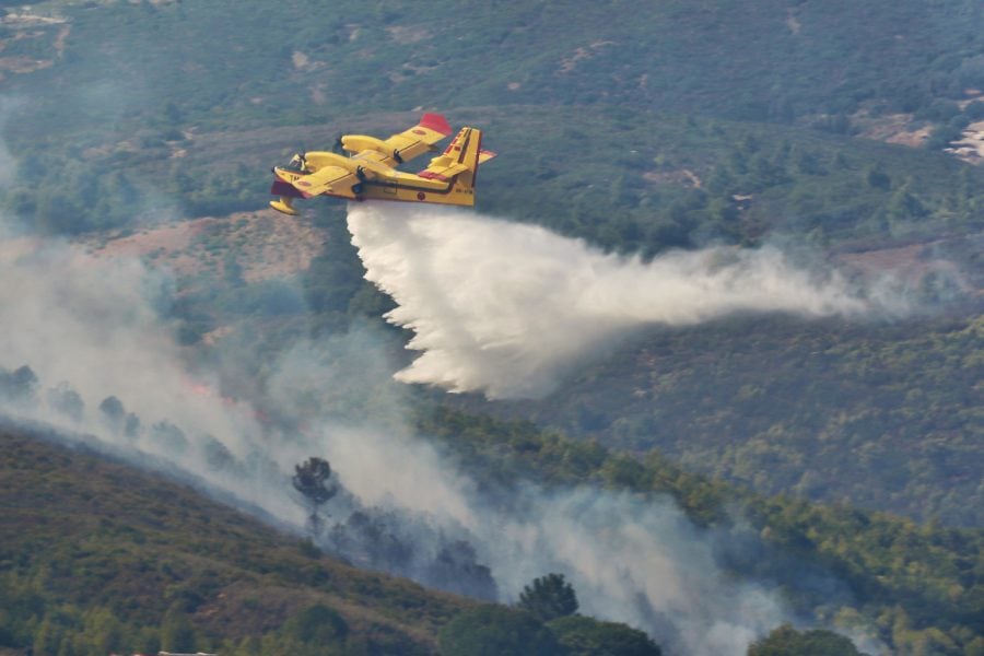 Chefchaouen forest fire under control