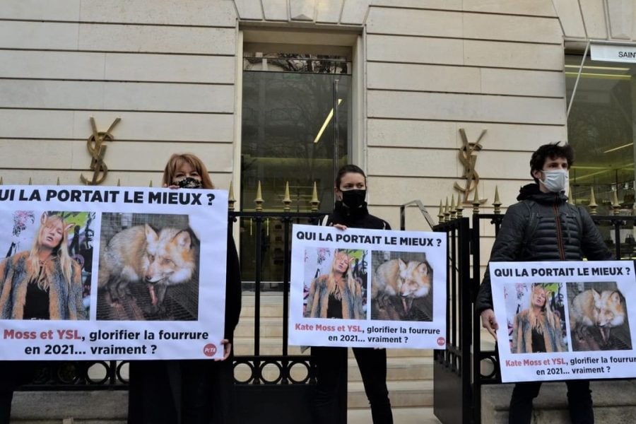 Yves Saint Laurent to eliminate fur from their collections starting next year