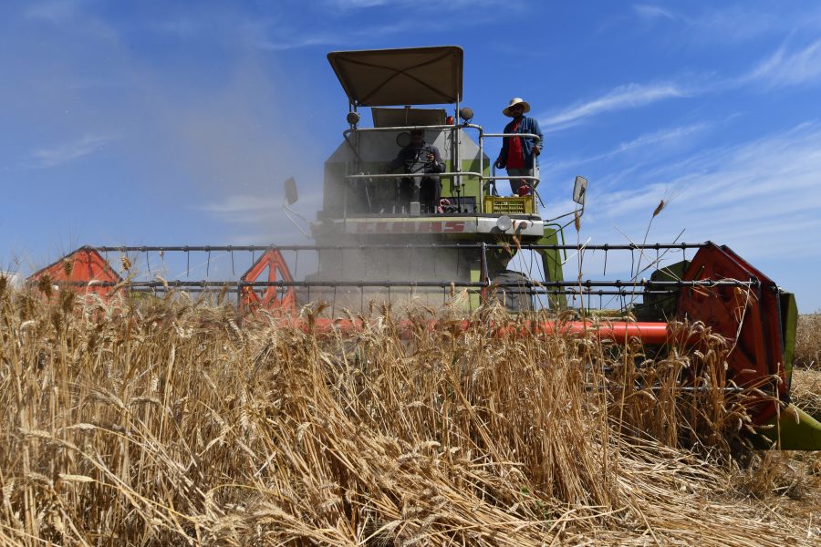 Morocco to import wheat from the US, the UK