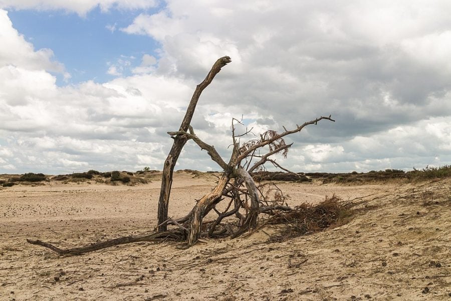 More than half of England 'officially in drought': UK govt
