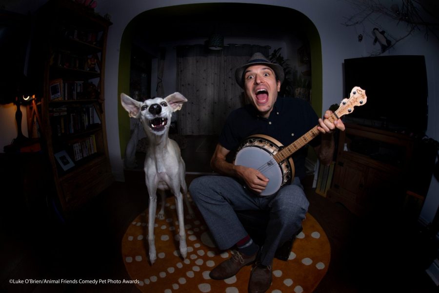 Comedy Pet Photo Awards announce finalists for 2021 edition