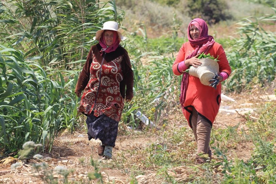 Women bear cost of climate change, highlights COP26