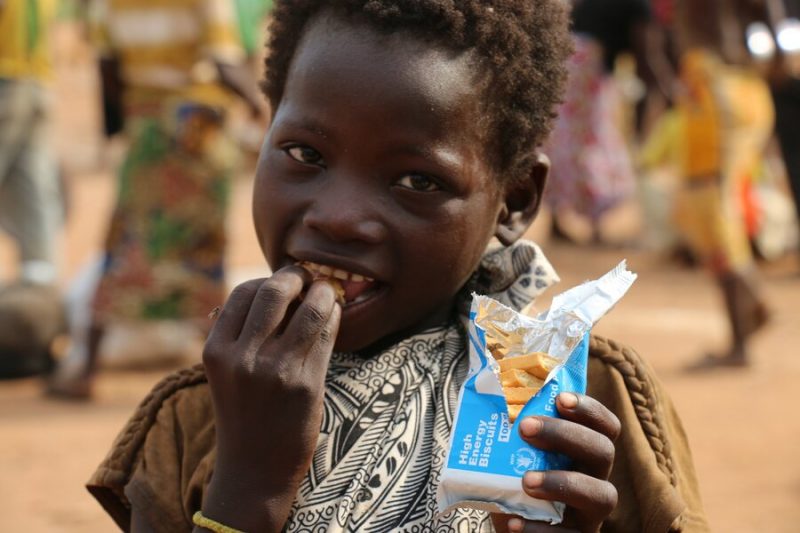 Sudanese Gunmen loot WFP warehouse containing 1,900 tonnes in food aid