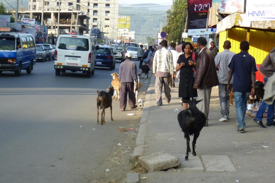 Ethiopian Prime Minister tells Addis Ababa residents to hold arms, prepare to defend neighborhoods against Tigray