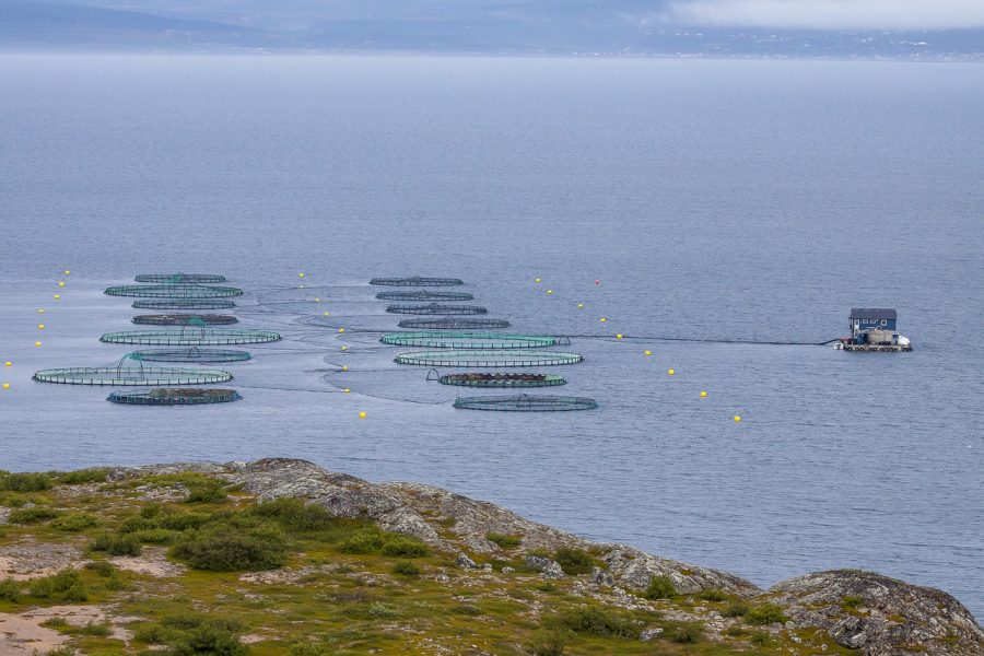 Right wing parties reject Spanish president’s stance on Chafarinas Islands