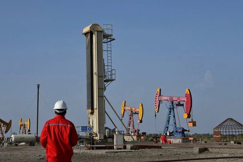 Chariot secures environmental approval for anchois gas field development in Morocco
