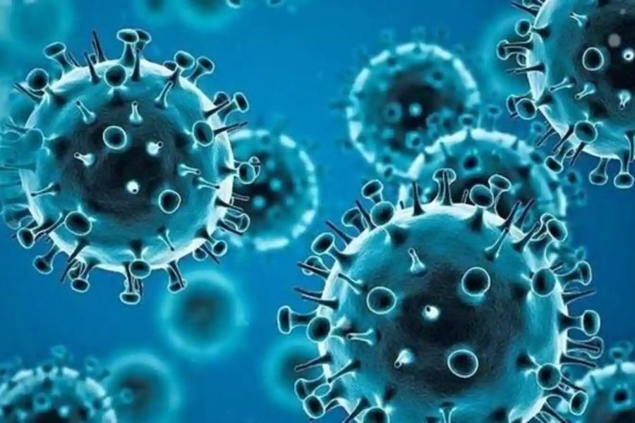 WHO Recommends Trivalent Vaccines for 2024-2025 Flu Season in Northern Hemisphere