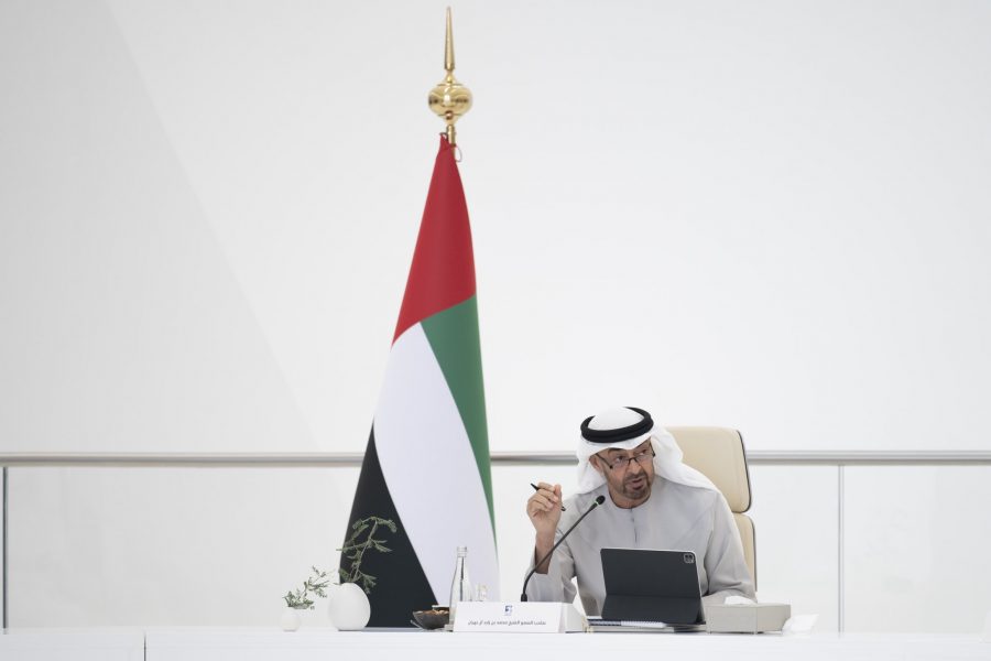 Mohamed bin Zayed, from power behind throne to UAE ruler
