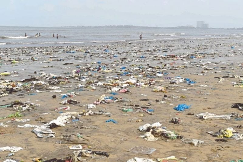 Organisms around the world are evolving to eat plastic, study finds