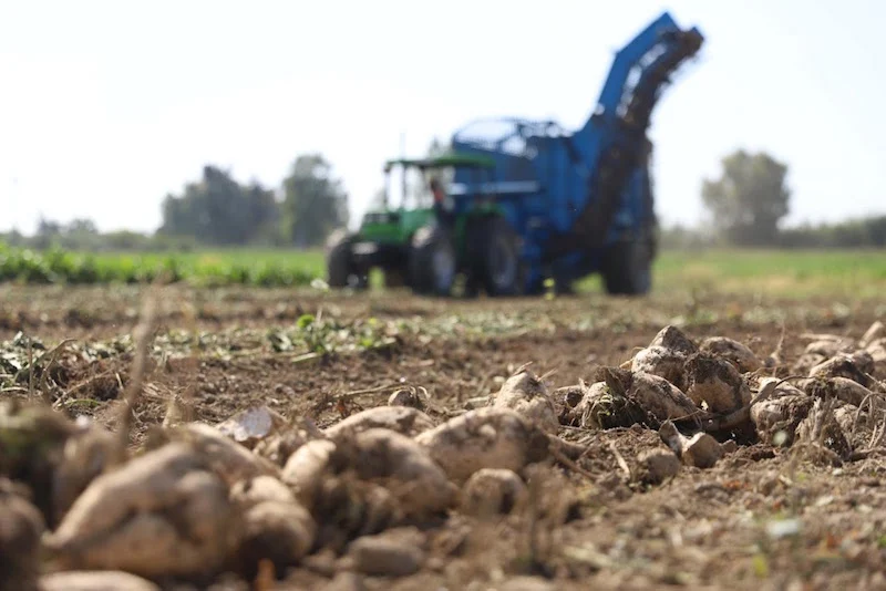 Global Hunger Index ranks Morocco 47th low-threat country