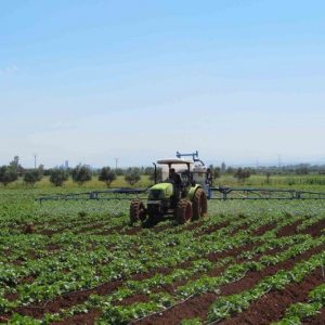 EU-Morocco agriculture and fishing agreement has boosted economy and job prospects in the Sahara, says the European Commission