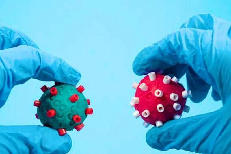 US reports first severe case of bird flu in human: statement