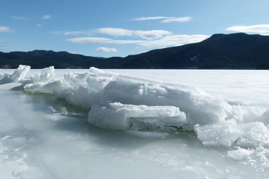 Antarctic sea ice cover at record low: EU monitor