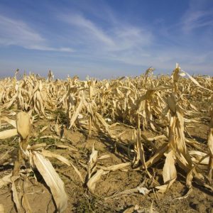 Morocco is experiencing its worst drought in 30 years