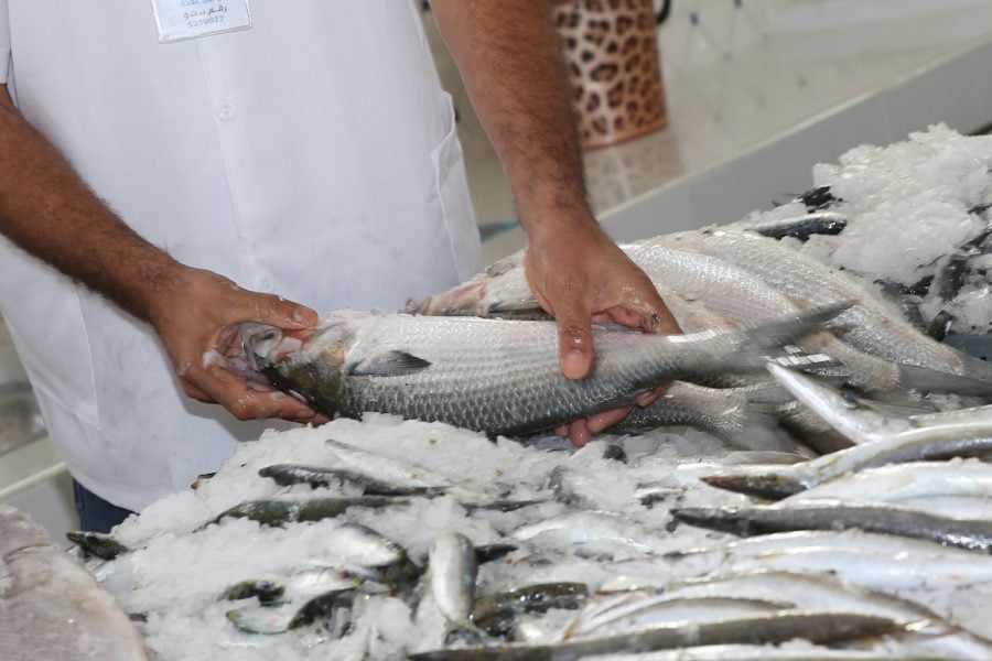 Spiking seafood prices in 2021 drive up Morocco's exports