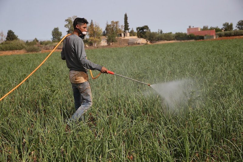 Drought season: Opposition groups require government to readjust economic goals