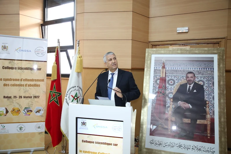 Ministry of Agriculture tackles mass bee colony collapse in Morocco, while reasons remain unknown