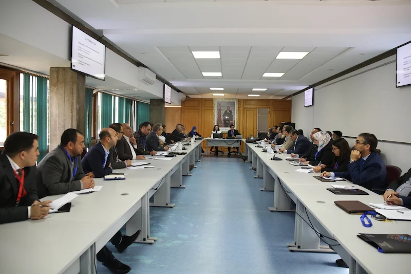 Moroccan professionals continue workshops on nationwide mass bee colony collapse