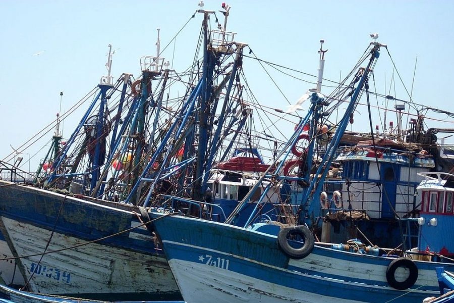 Fish production totals MAD 15 billion in revenue,  Ministry of Agriculture says