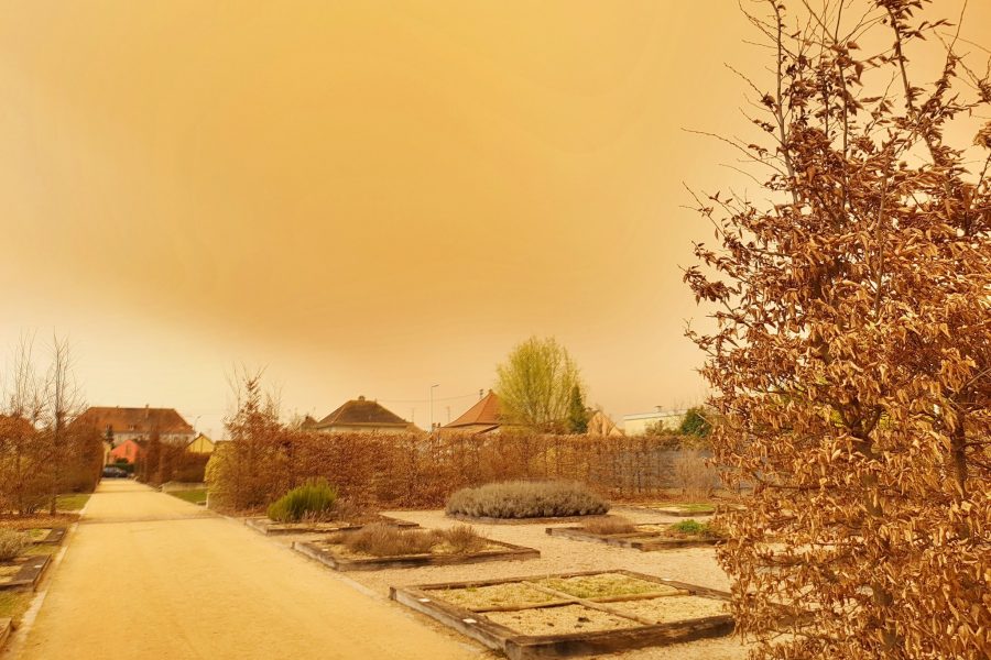 Sahara dust in European air revives devastating memory of nuclear tests in Algeria