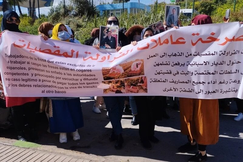 Moroccan ‘strawberry field workers’ protest exclusion from Spanish harvests
