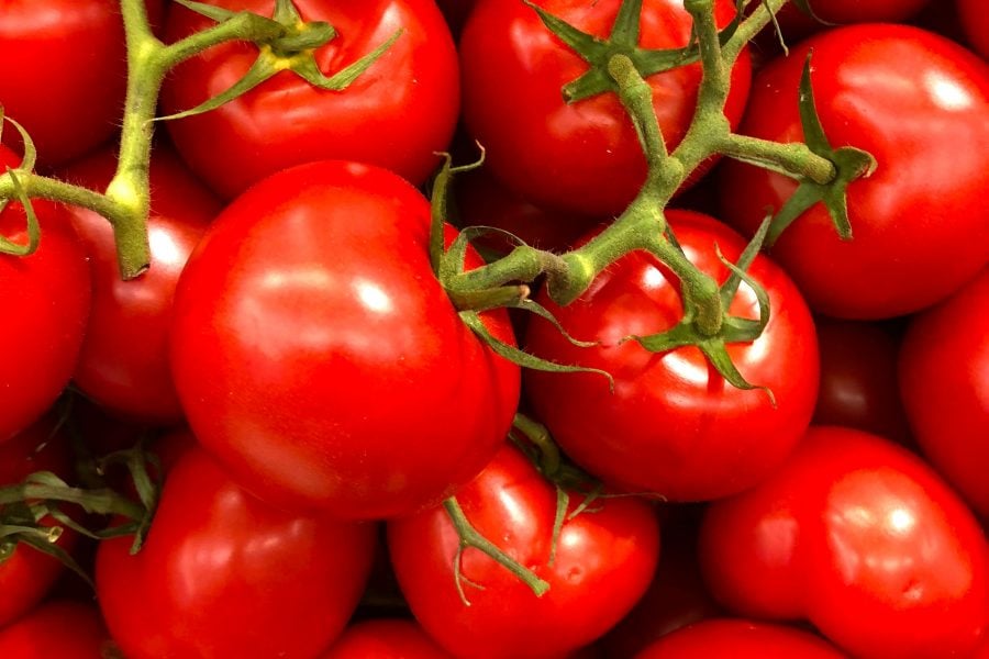 Morocco remains first tomatoes supplier to EU outside the continent