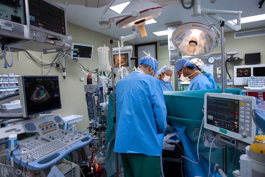 Over a 1000 cases of food poisoning recorded each year in Morocco