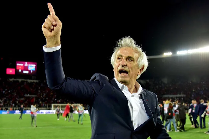 FIFA World Cup 2022: Belgian coach responds to Vahid Halilhodzic’s clash