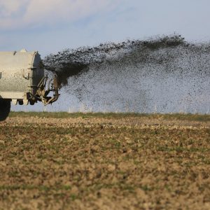 Morocco becomes Brazil’s second largest fertilizer supplier in April