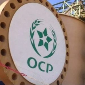 American think tank says Morocco could become key US purified phosphoric acid source amid China competition