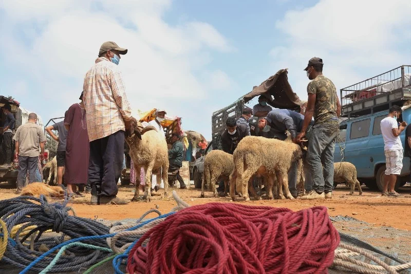 Some Moroccans will not celebrate this Eid Al-Adha, as prices reach unprecedented high