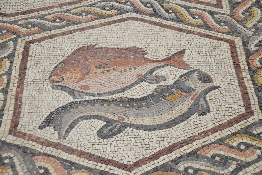 1,700 years old “Lod Mosaics” influenced by North Africa to be displayed in Israel
