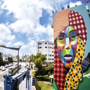 Jidar Street Art Festival: Several artists adorn walls of Rabat