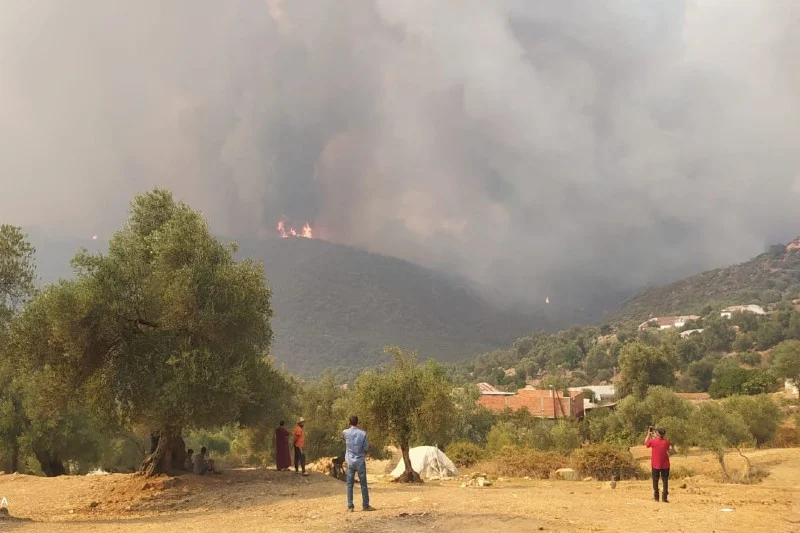Larache province: fire in 'Beni Ysef Al-Srif' forest 50 percent contained