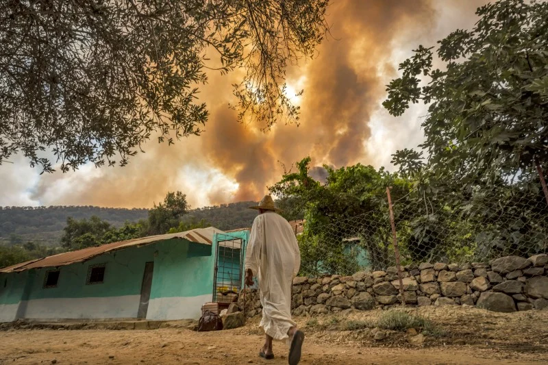 Morocco updates national wildfire Risk Maps Ahead of Summer Heat